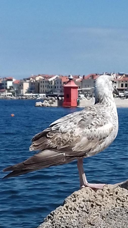 Apartments Piran Luaran gambar