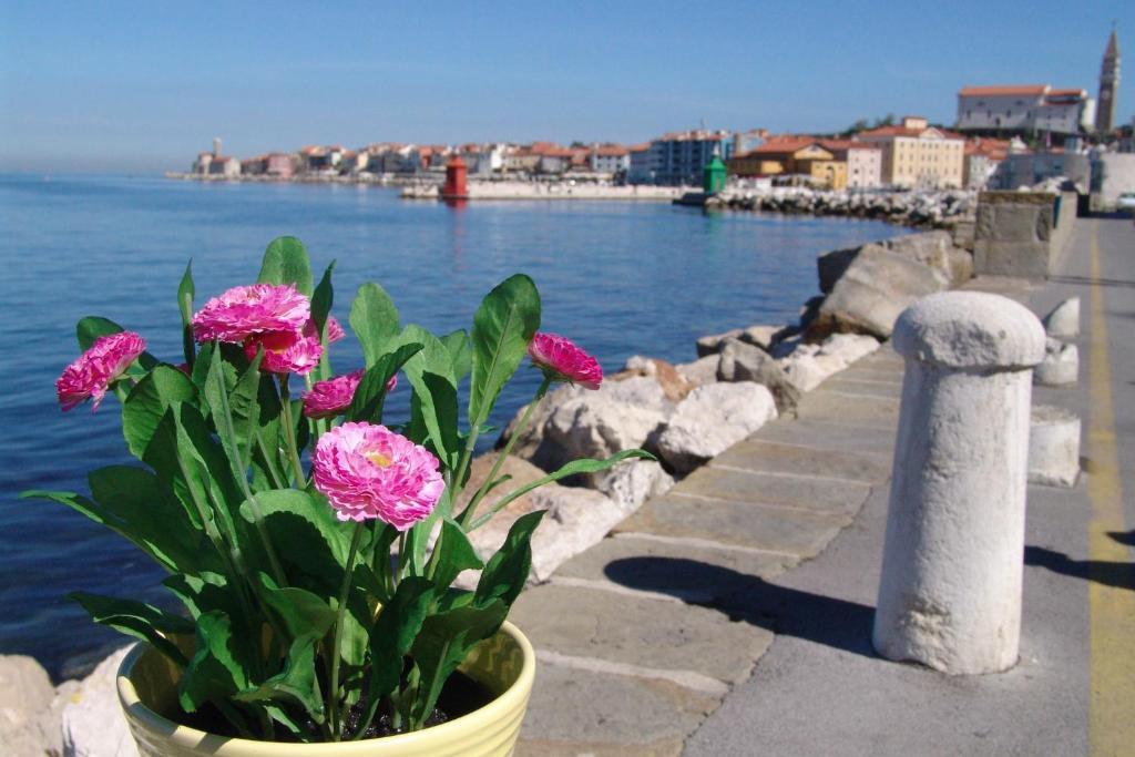 Apartments Piran Luaran gambar